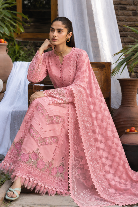 Ready-to-Wear 3-Piece Winter Embroidered Dhank Suit