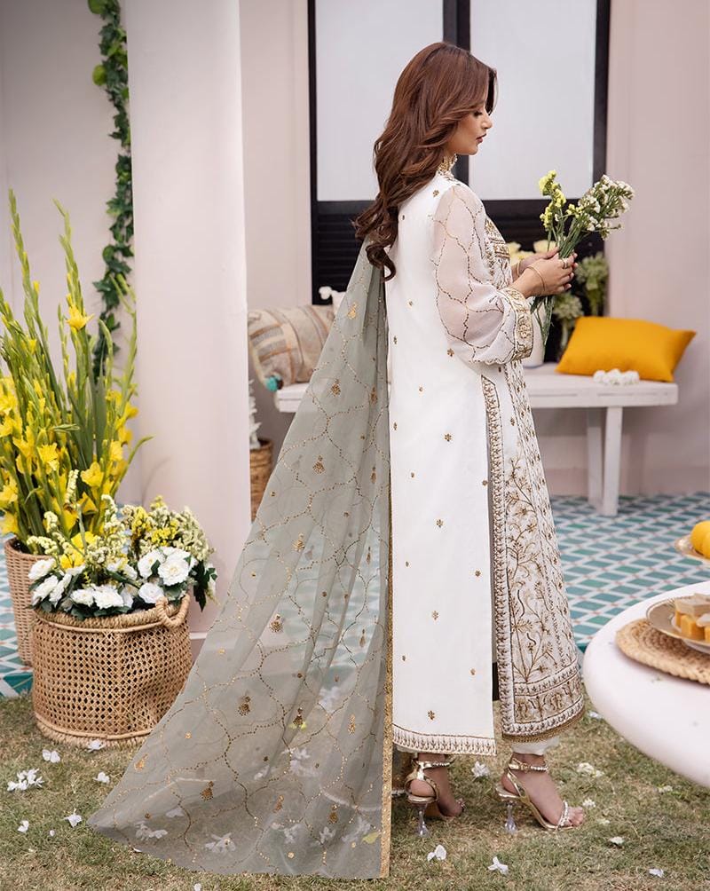 3 Piece Stitched Chiffon Embroidery Dress - Ready To Wear