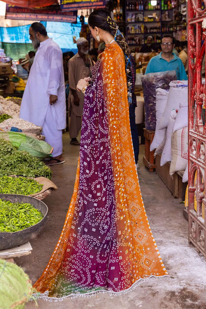 3 Piece Stitched Chikankari Dress - Ready To Wear