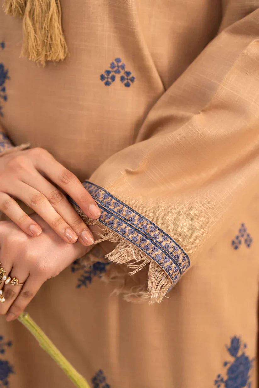 02-Piece Embroidered Lawn Suit | Ready To Wear