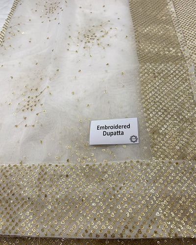 3 Piece Stitched Luxury Embroidery Wedding Collection - Ready To Wear