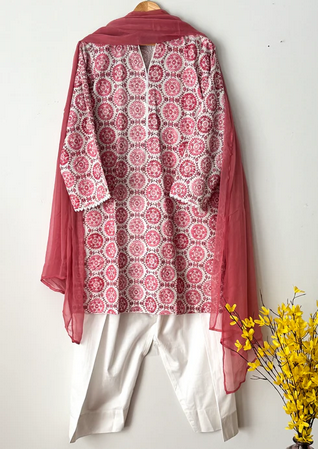 3 Piece Stitched Read to Wear Chikankari Suit