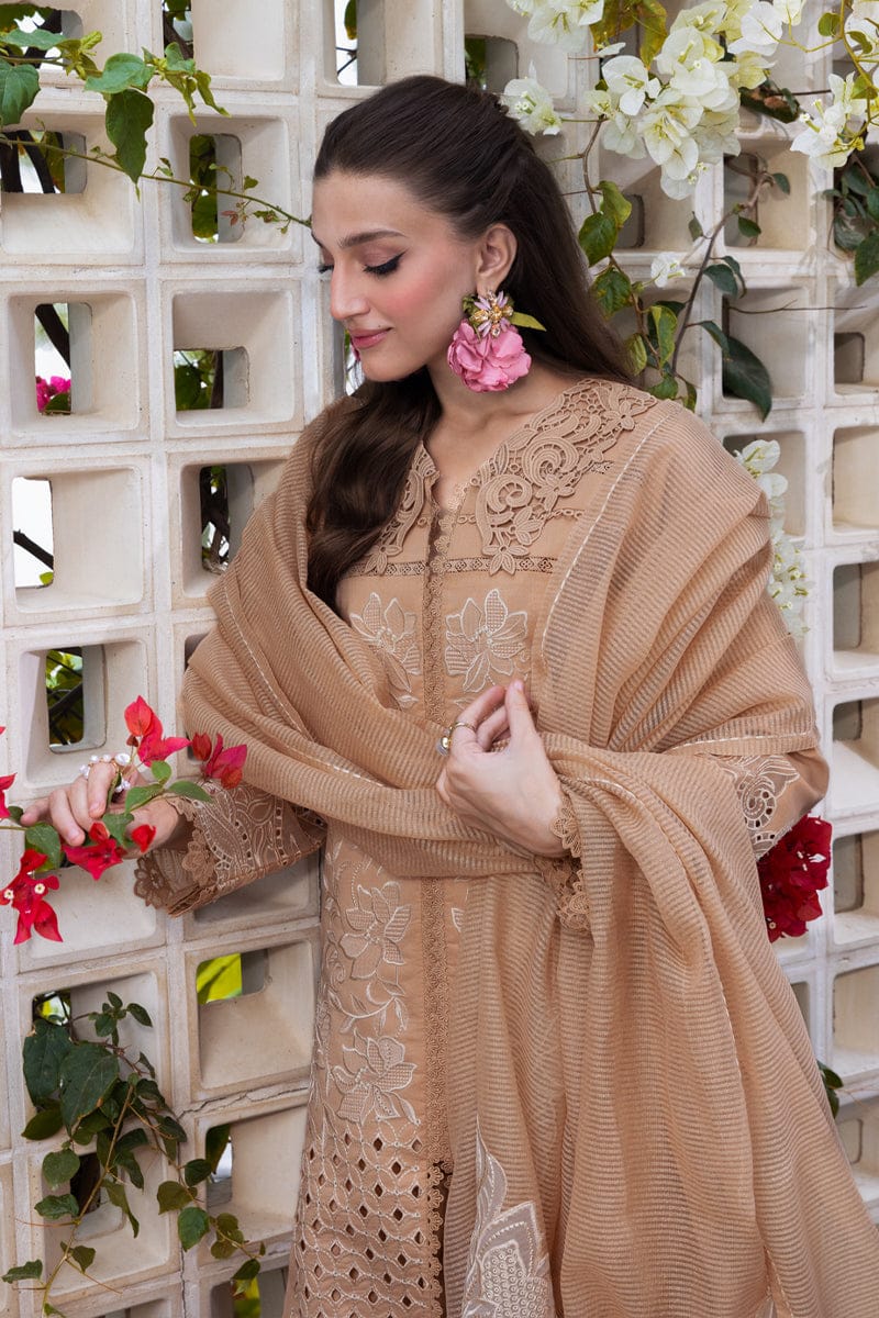03-Piece Cotton Suit With Chikankari Embroidery - Ready To Wear