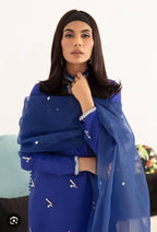 3 Piece Stitched Raw Silk Dress - Ready to Wear