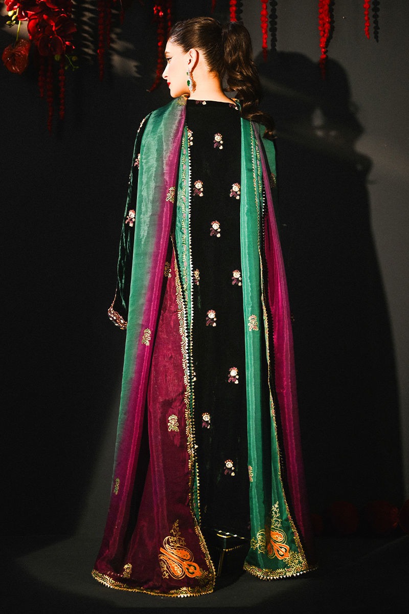 3  Piece Luxury Formals Embroidered Velvet Dress
