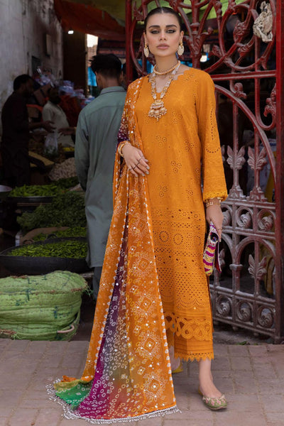 3 Piece Stitched Chikankari Dress - Ready To Wear