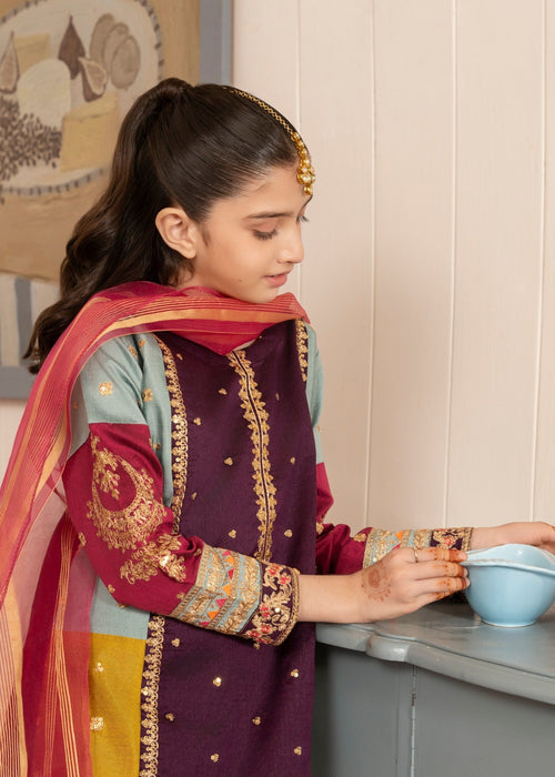 03-Piece Kids Raw Silk Suit